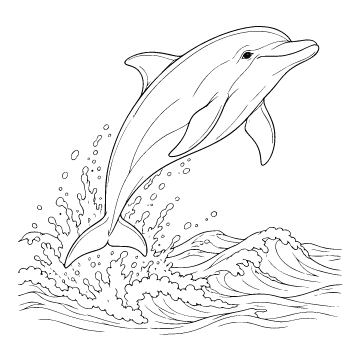 Dolphin colouring page for ages 9+: a black outline drawing to print and colour