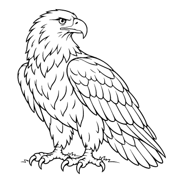 Eagle colouring page for ages 6–8: a black outline drawing to print and colour
