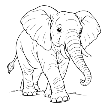 Elephant colouring page for ages 6–8: a black outline drawing to print and colour