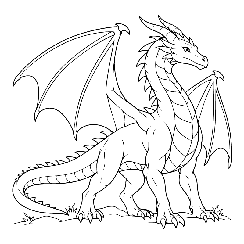 Dragon colouring page for ages 6–8: a black outline drawing to print and colour