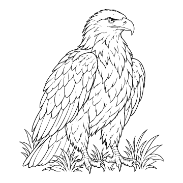 Eagle colouring page for ages 9+: a black outline drawing to print and colour