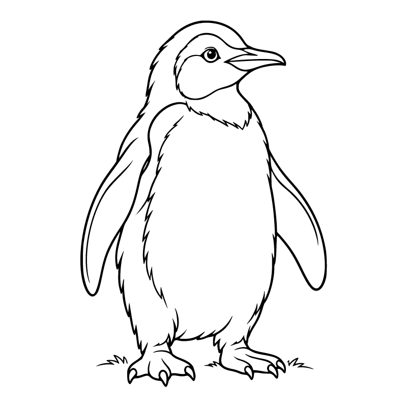 Penguin colouring page for ages 6–8: a black outline drawing to print and colour